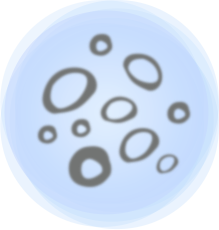 希瑪眼科中心_飛蚊症