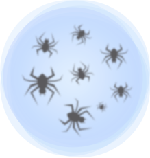 希瑪眼科中心_飛蚊症