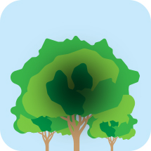 希瑪眼科中心_黃斑病變症狀