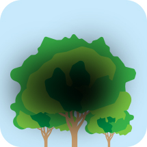 希瑪眼科中心_黃斑病變症狀